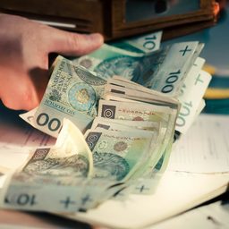 Польские злотые в кошельке